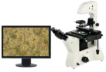 Digital Inverted Microscope